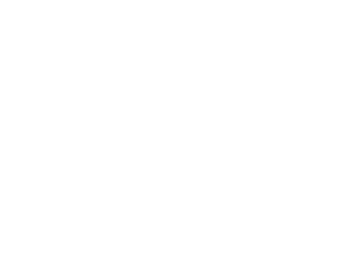 شركة البرق المتميزة